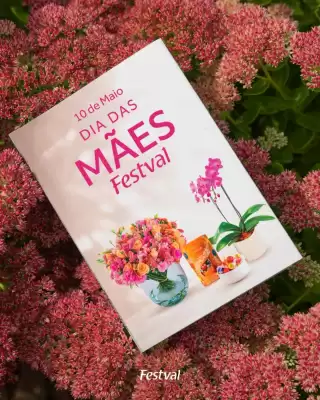 Festval (válido até 10-05)