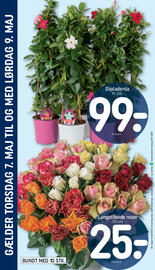 REMA 1000 tilbudsavis uge 19 Side 24