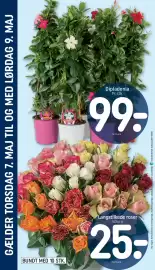 REMA 1000 tilbudsavis uge 19 Side 24