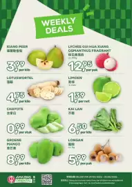 Amazing Oriëntal folder week 18 Pagina 1