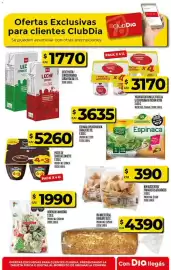 Folleto Supermercados DIA semana 18 Página 24
