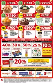 Folleto Supermercados DIA semana 18 Página 3