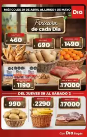 Folleto Supermercados DIA semana 18 Página 4