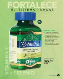 Catálogo Dolce Catálogos Página 133