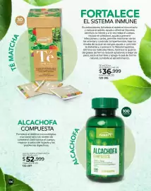 Catálogo Dolce Catálogos Página 136
