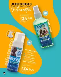 Catálogo Dolce Catálogos Página 146