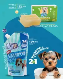 Catálogo Dolce Catálogos Página 147