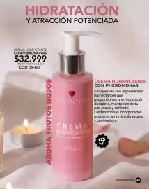 Catálogo Dolce Catálogos Página 47