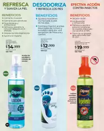 Catálogo Dolce Catálogos Página 56