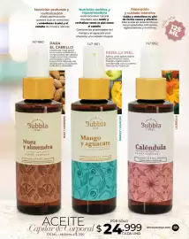 Catálogo Dolce Catálogos Página 59