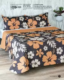 Catálogo Dolce Catálogos Página 77