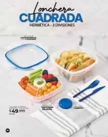 Catálogo Dolce Catálogos Página 88