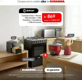 Catálogo Hiraoka Página 4