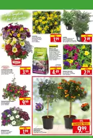 Herkules Baumarkt Prospekt woche 18 Seite 3