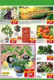 Herkules Baumarkt Prospekt woche 18 Seite 4