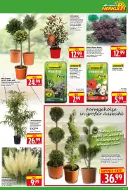Herkules Baumarkt Prospekt woche 18 Seite 5