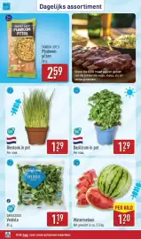 ALDI folder week 19 Pagina 32