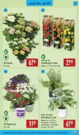 ALDI folder week 19 Pagina 41