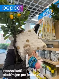 Pepco leták týden 18 Strana 1