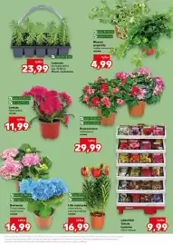 Kaufland gazetka tydzień 18 Strona 11