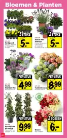 Vomar Voordeelmarkt folder Pagina 36