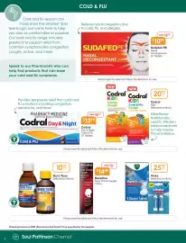 Soul Pattinson Chemist catalogue Page 6