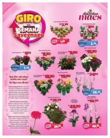 Catálogo Supermercados Savegnago Página 2