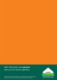 Lagerhaus Flugblatt Seite 4