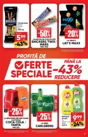 Catalog PROFI Pagină 3