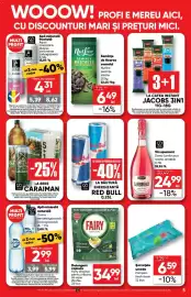 Catalog PROFI Pagină 5