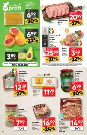 Catalog PROFI Pagină 6