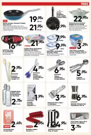 Folleto FROIZ Página 10