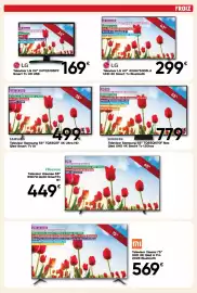 Folleto FROIZ Página 2