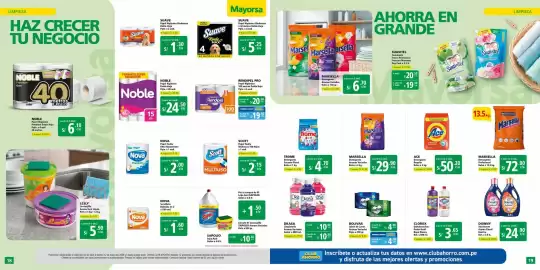 Catálogo Mayorsa Página 10