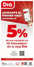 Folleto Dia semana 18 Página 12