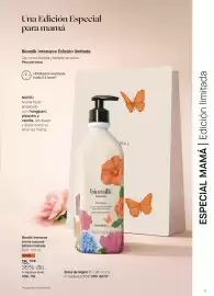 Folleto Yanbal Página 13