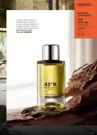 Folleto Yanbal Página 53