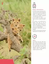 Catálogo Catai Página 4