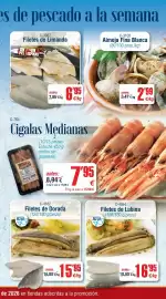 Folleto Abordo Página 5