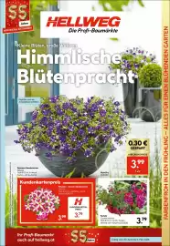 Hellweg Prospekt woche 18 Seite 11