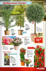 Hellweg Prospekt woche 18 Seite 21