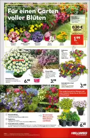 Hellweg Prospekt woche 18 Seite 23