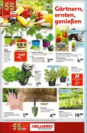 Hellweg Prospekt woche 18 Seite 24