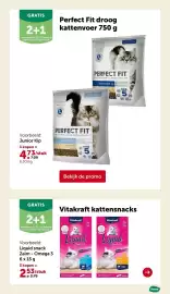 AVEVE folder Pagina 15