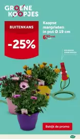 AVEVE folder Pagina 4