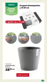 AVEVE folder Pagina 6