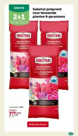 AVEVE folder Pagina 7