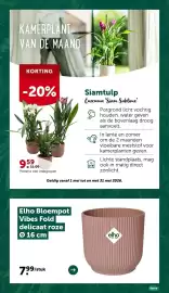 AVEVE folder Pagina 8