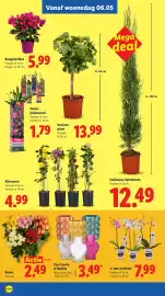 Lidl folder week 19 Pagina 25