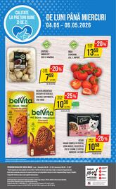 Catalog Mega Image săptămâna 18 Pagină 24